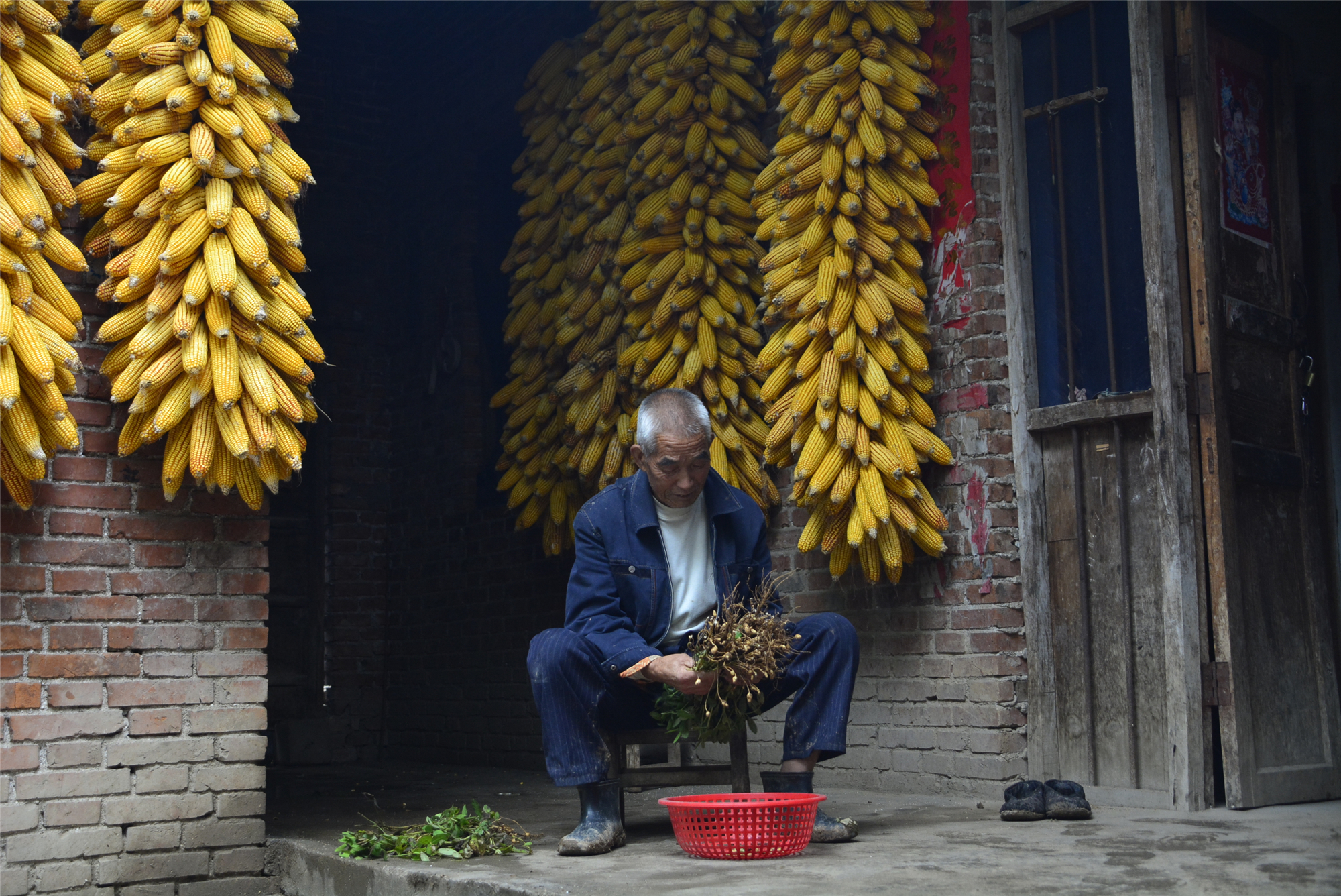 河南穷人的农村瓦房,河南老家穷人