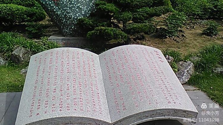 上海中山公园介绍,上海中山公园