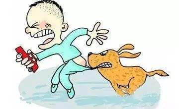 小孩被猫狗抓了咬了会怎么样,小孩被猫狗咬