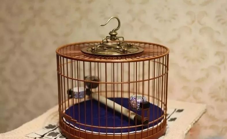 鸟笼保养哪种油最好,竹制鸟笼如何保养