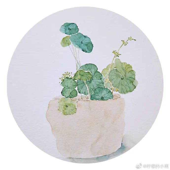 分享一组好看的小清新水彩插画,不来看看简单水彩小插画的教程吗