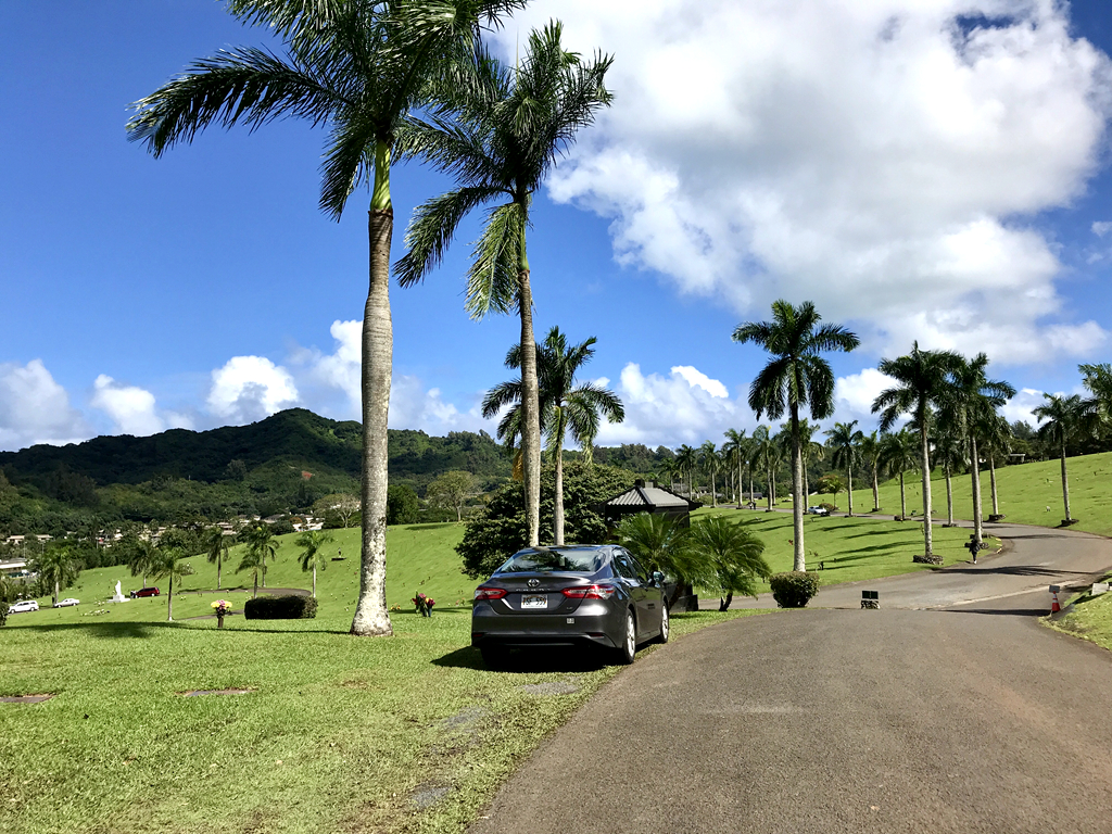 丰田凯美瑞自驾体验价格,夏威夷如何开车自驾