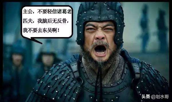 姜维为何改变汉中防御策略,姜维屯田避祸