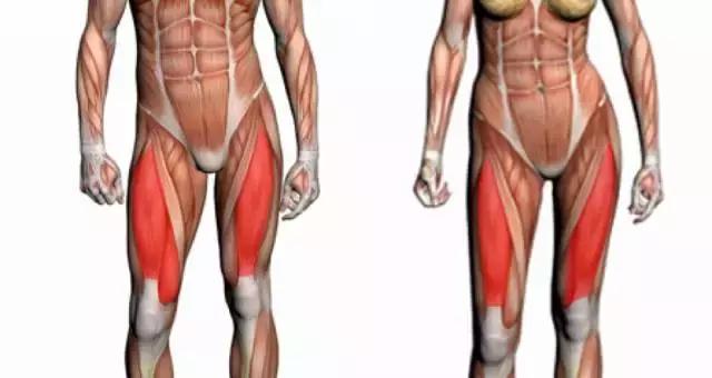 缓解膝关节疼痛正确有效的方法,膝关节疼痛的十大原因怎样缓解