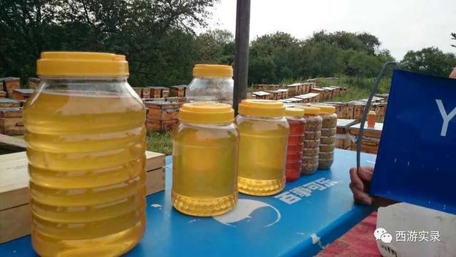 自驾环游世界第一人，一次连续跨越五大洲20万公里吉尼斯世界纪录