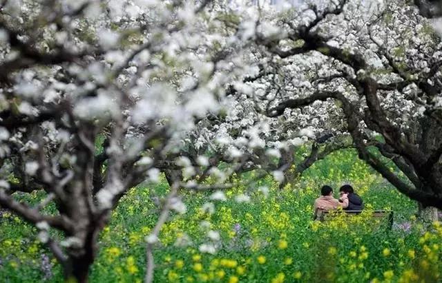 佳能70d单反相机自拍怎样设置,30分钟单反相机教程与摄影技巧