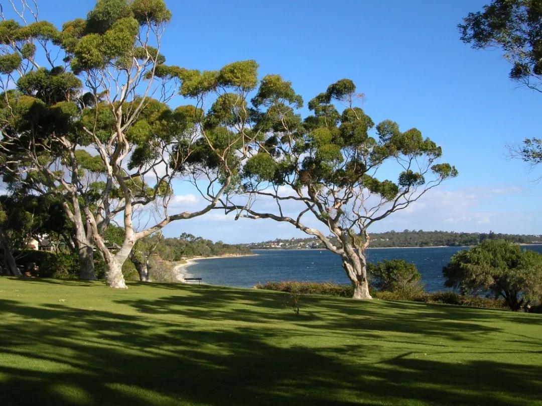 沧海拾贝看历史,沧海拾贝创作原声