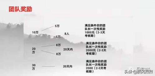 奇林商城,奇林商城套路