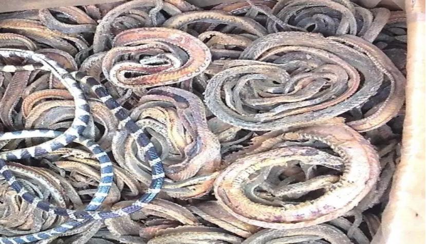 五独合剂,养殖必备,久病难治专用药