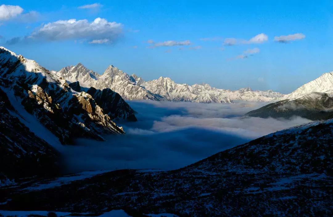 黄龙，不见则已，一见钟情