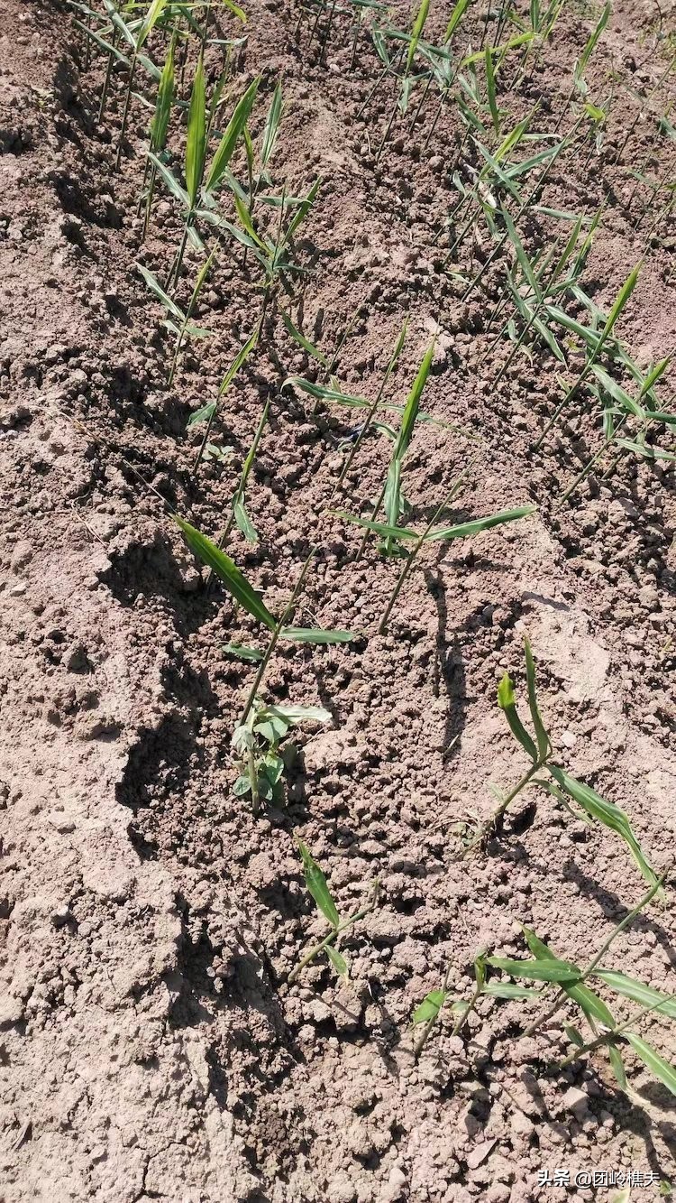 创业项目小项目,创业实用小项目