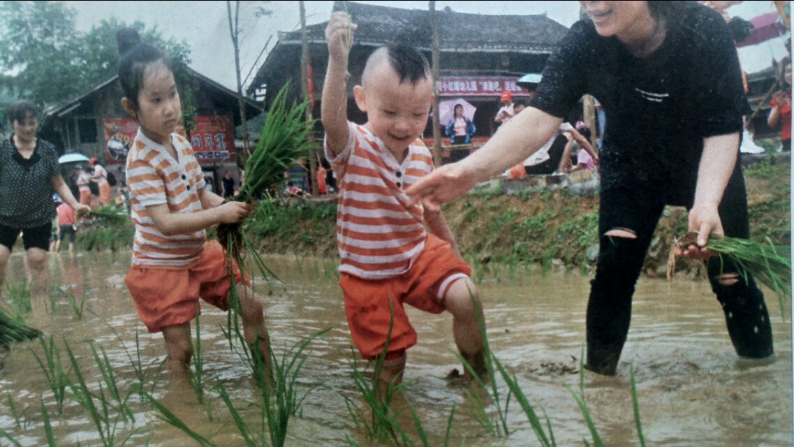 小学生科普小实验视频,小学生科技培训