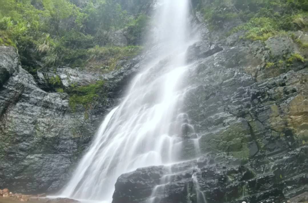 缙云美食乐园,缙云山景区里美食
