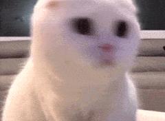 健康中国2030具体内容,健康中国行动2030