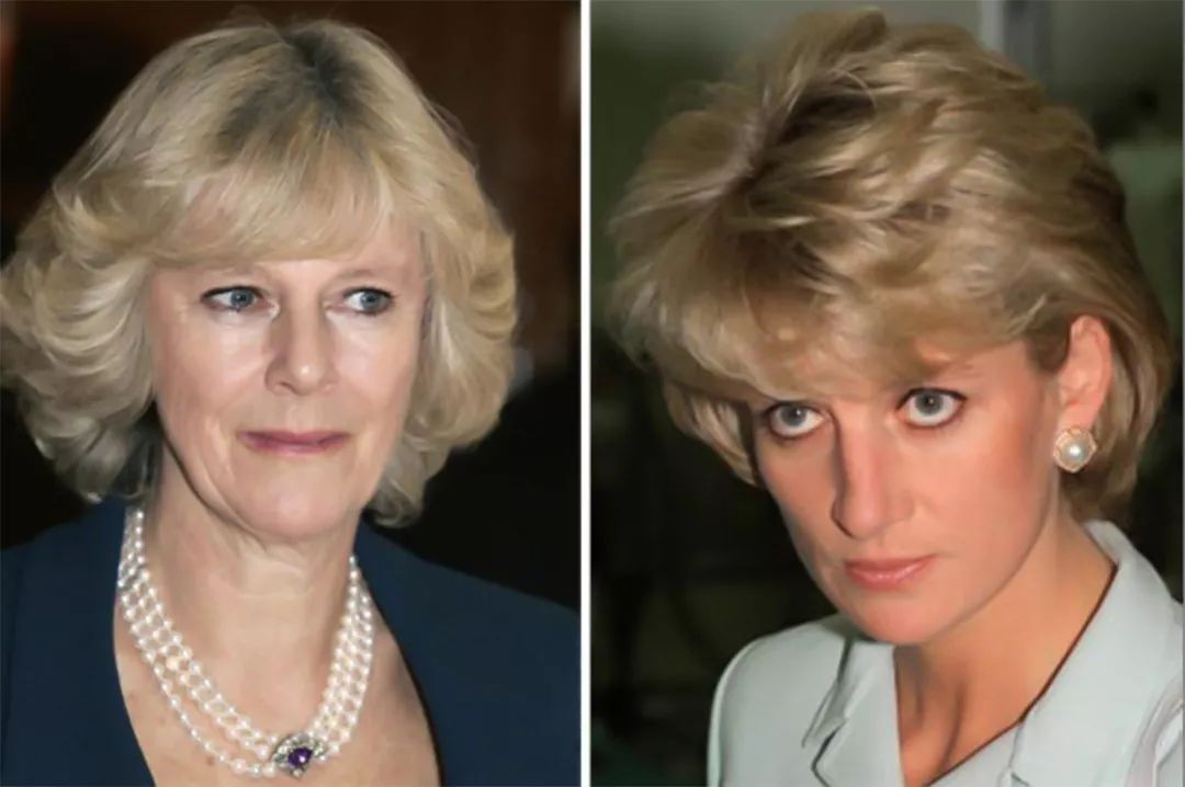 戴安娜王妃输给卡米拉,戴安娜王妃嫁给查尔斯王子