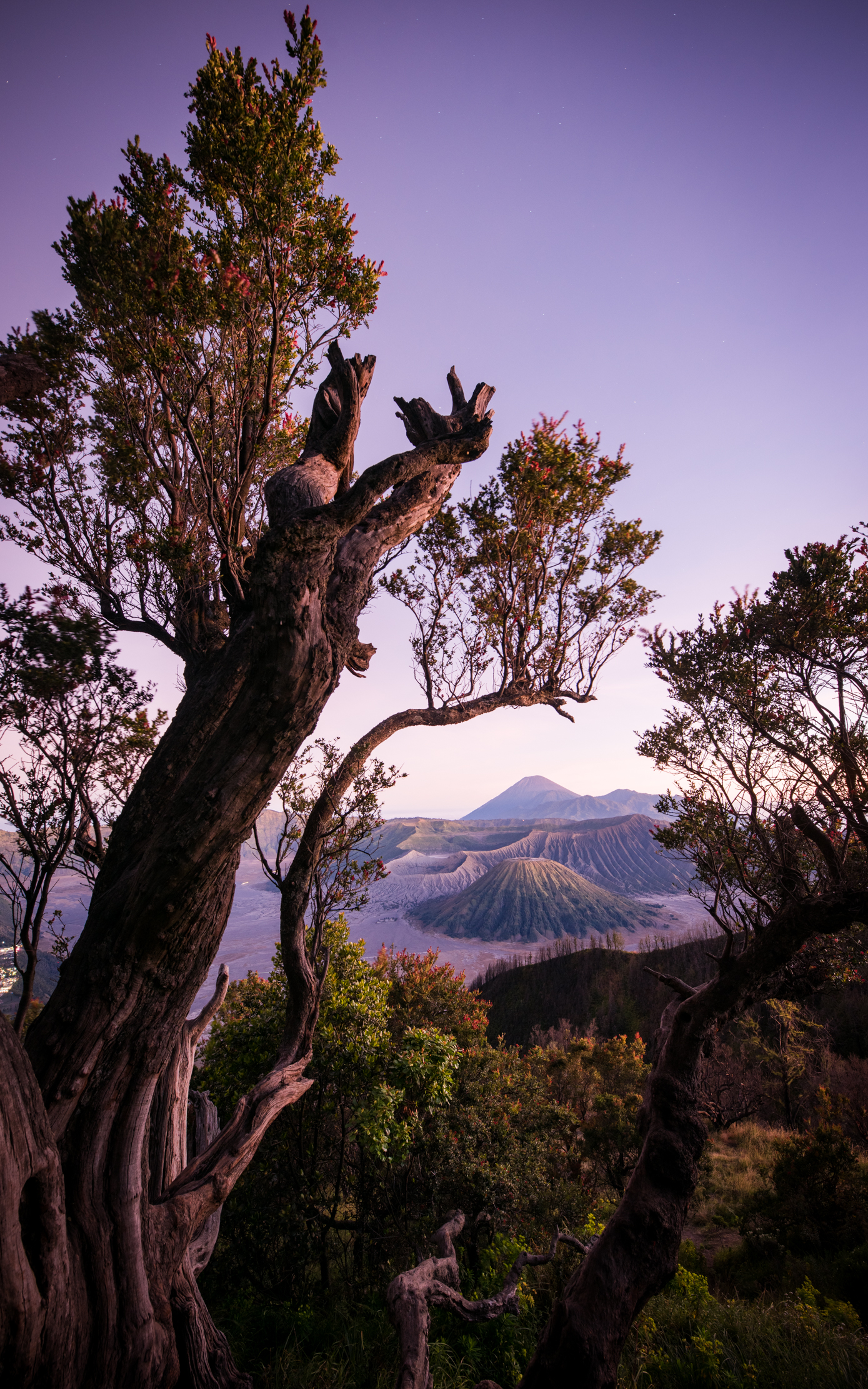 马小路et1541和pt15,马小路et1541和et2541区别