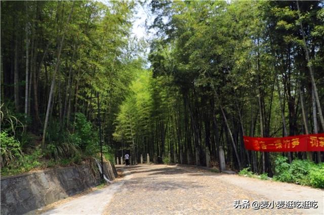 探秘山间古寺,探寻神秘的古寺