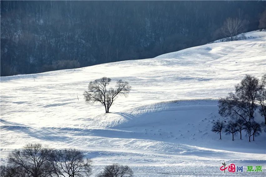一起去看美丽的坝上草原,秋季坝上草原游记
