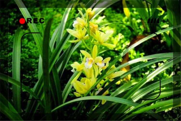 一个人做生意总是缺钱,一个人做的生意失败怎么办