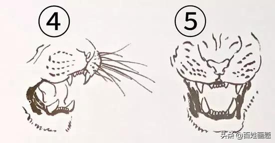 老虎简单写意,写意老虎图片
