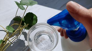 乱花渐欲迷人眼好在哪里,乱花渐欲迷人眼怎么样