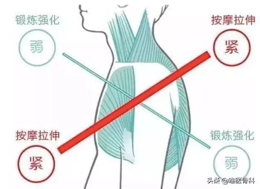 背背佳背后的秘密,20年前背背佳