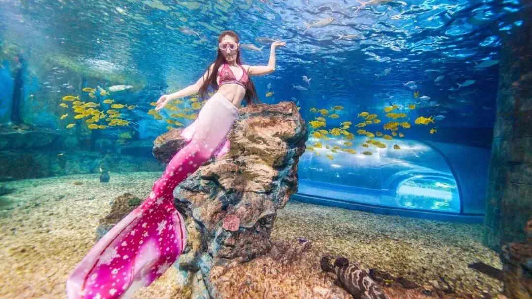 150000m²!天津欢乐谷的玛雅海滩水公园,真是太好玩了