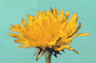 别笑别害羞！常做这个动作，能预防好多病……