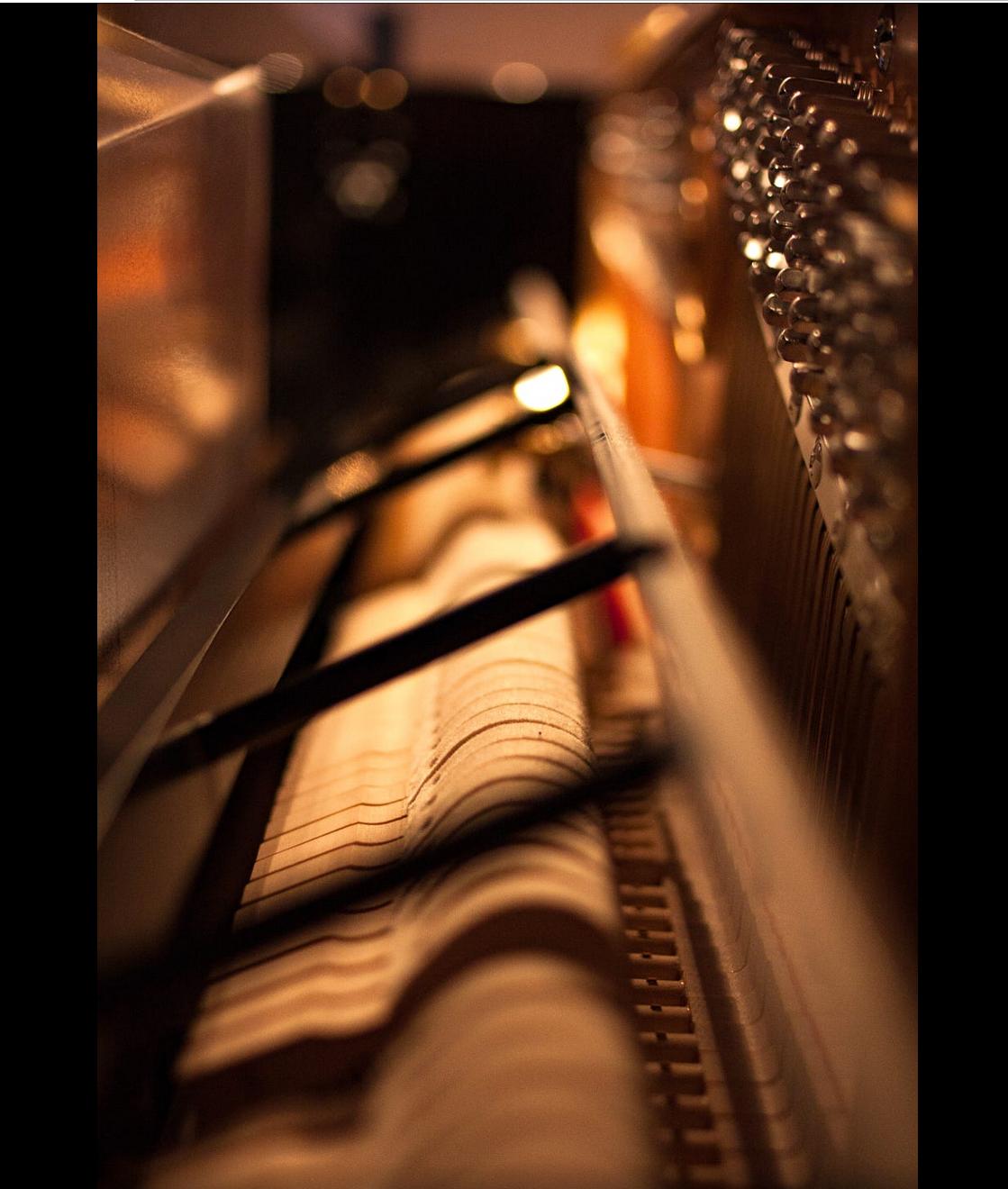 钢琴出现颤音,钢琴有滋滋的杂音是怎么回事