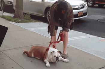 致敬项海王，股生PPT