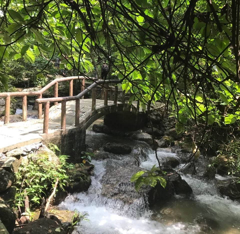 大容山露营三个露营点的区别,广西大容山森林公园露营