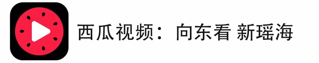 向东看新瑶海第三十一期,向东看新瑶海152期