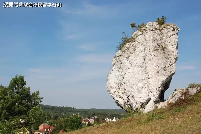 波兰工签近期通过率,波兰工签工作