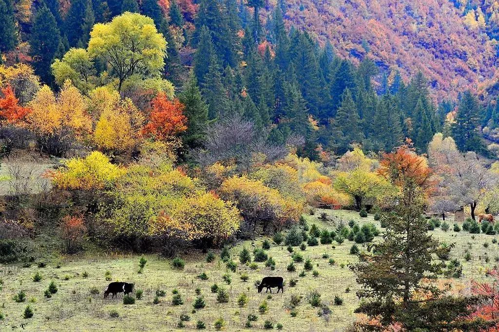 11月适合去旅行的著名风景推荐,10月11月适合旅游的地方