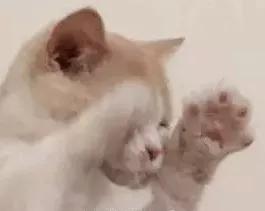 2017年发的qq个性签名,2023年qq个性签名精选