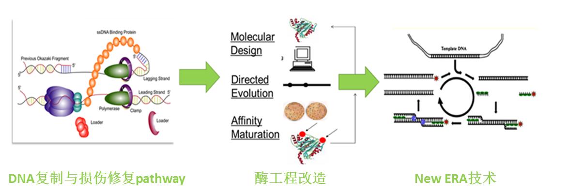 核酸检测技术新突破!10分钟宠物疫病现场检测