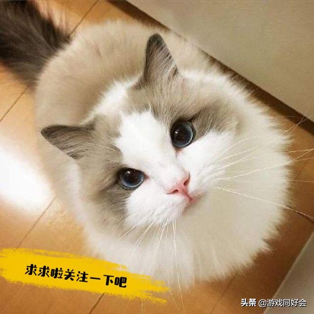 破晓战歌安卓和ios,破晓战歌88区