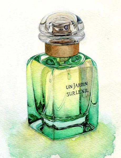 家庭环境香水选择 (怎样分辨家庭香水)