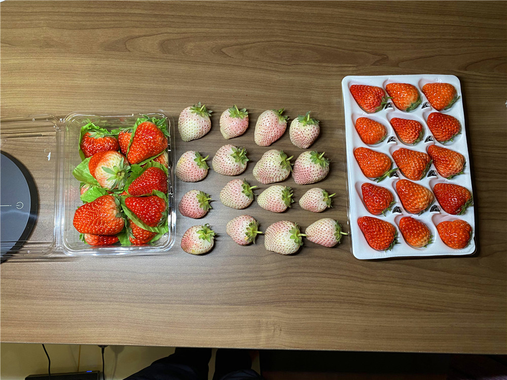 如何在网上买到真草莓,怎么在网上买正宗丹东草莓