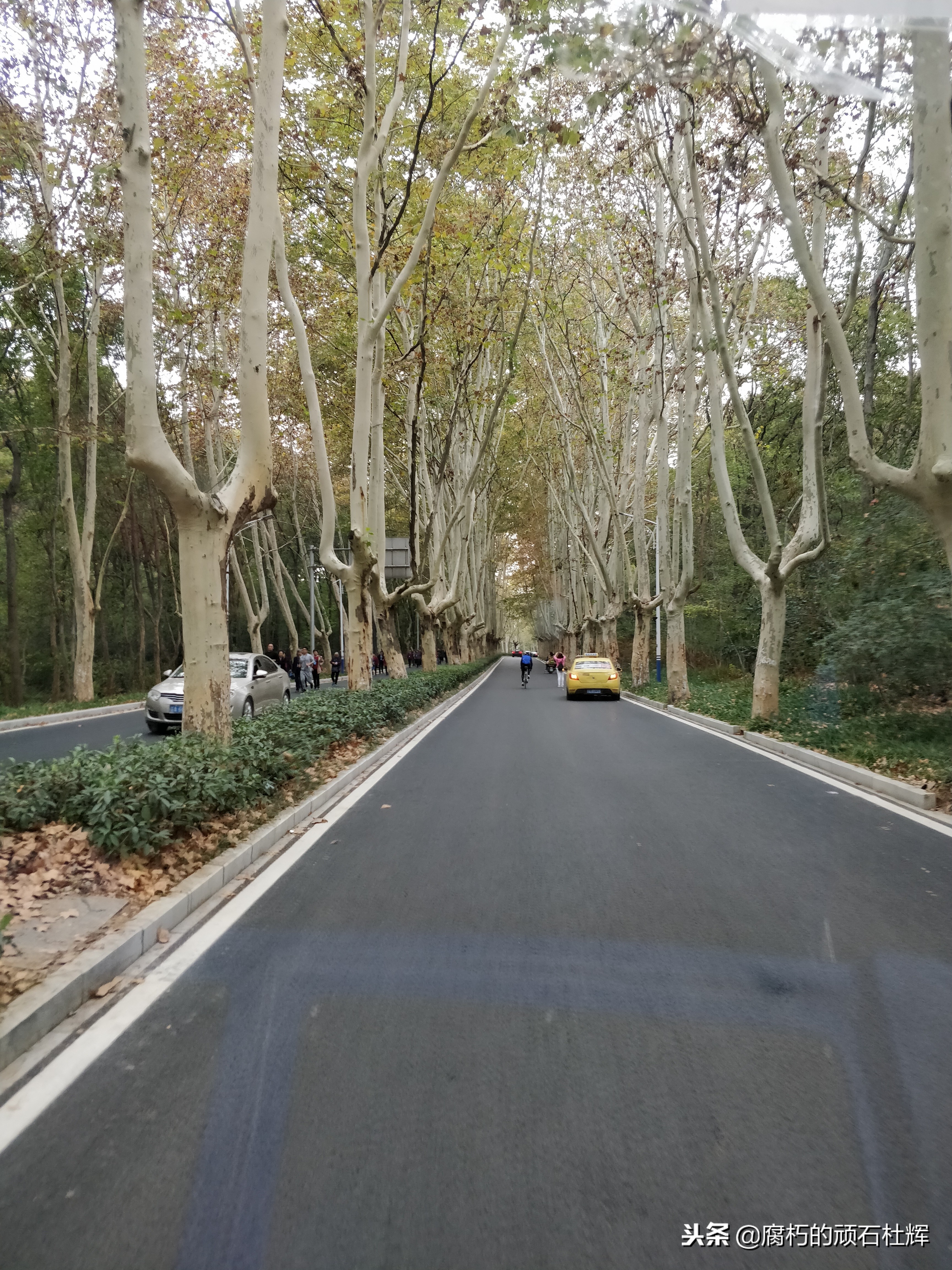 南京三日游攻略穷游 (南京出发三日自驾游)