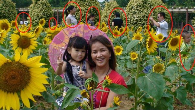 国内外#网址大全#博主神器ps、AI、数据分析、今日热榜#ppt#设计