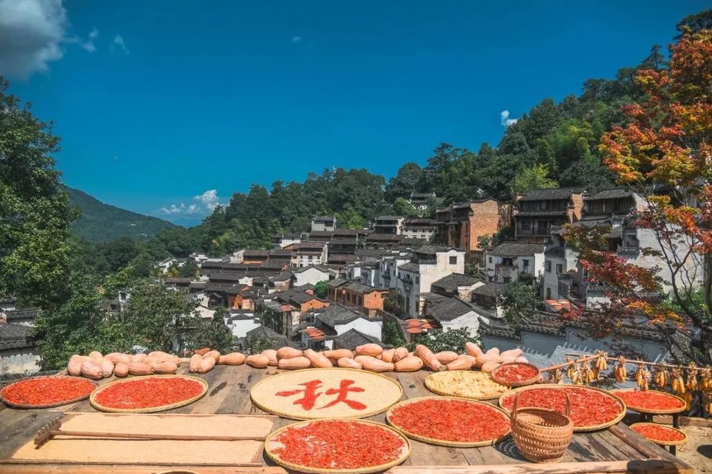 婺源篁岭赏秋,晒秋江西婺源篁岭