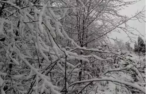 您有一份邀请函请查收,您有一份新的工作请查收