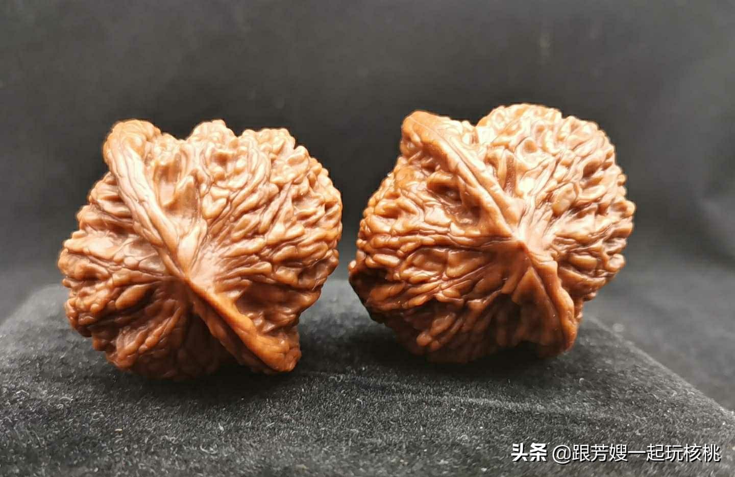 文玩核桃大刺和大花是一个品种吗,最好的文玩核桃是什么品种