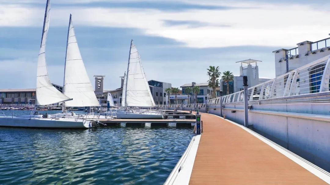 陈文令麦道夫最新信息 (陈文令对麦道夫的评价)