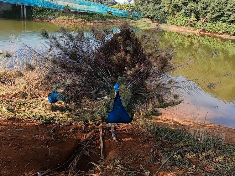 「第四期」一辆房车,三只毛孩子,三个姑娘,9476公里奇遇记