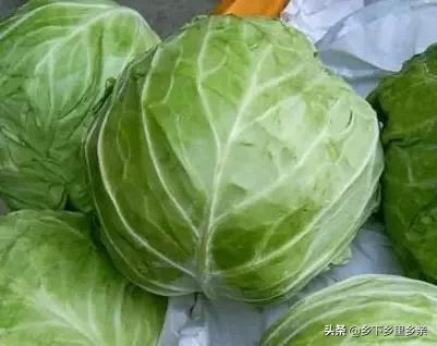 小麦引进中国之前人们吃什么,涨姿势科普刷新您对大米的认知