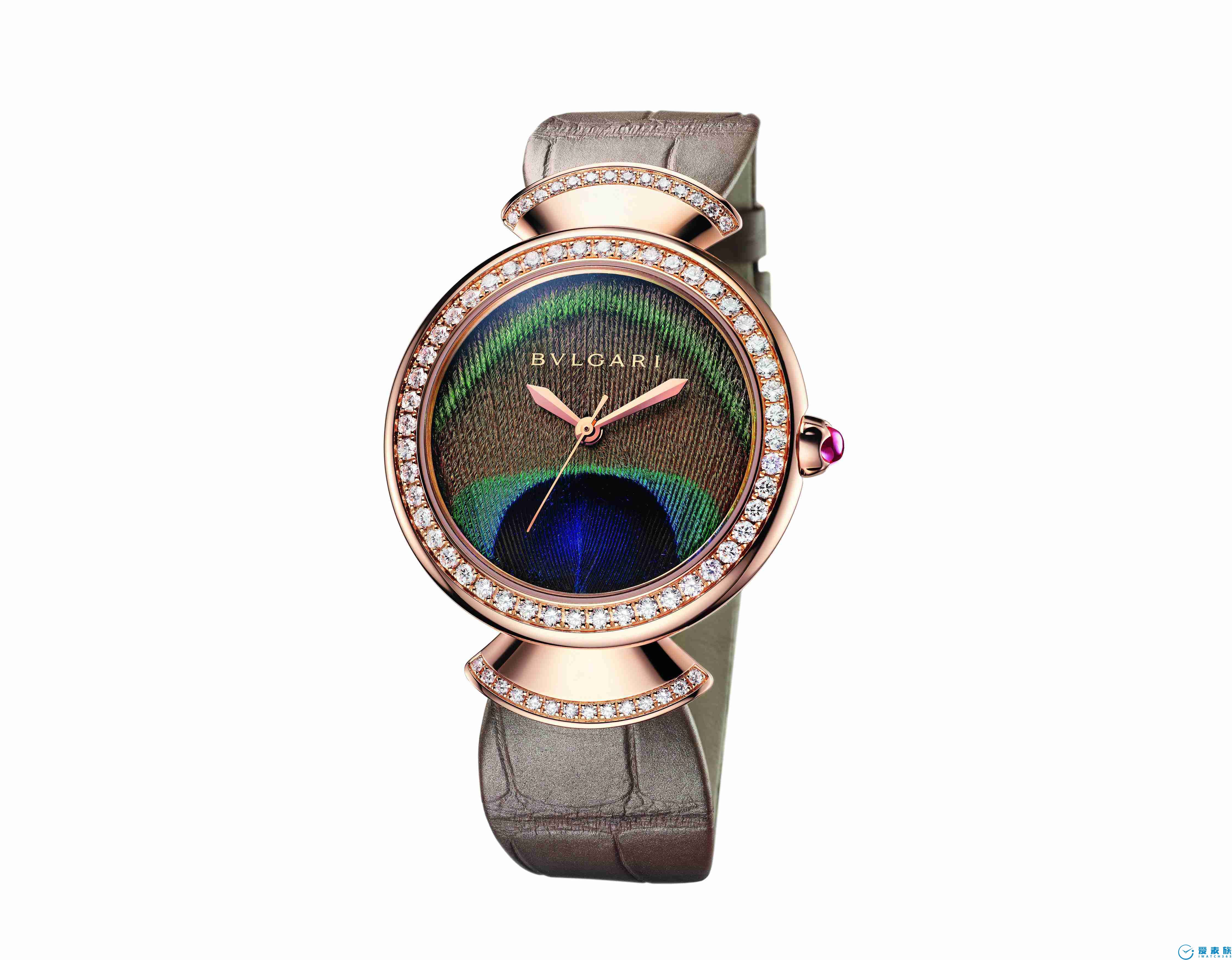 天生是主角，绽放雀之光彩BVLGARI宝格丽Divas’Dream系列腕表