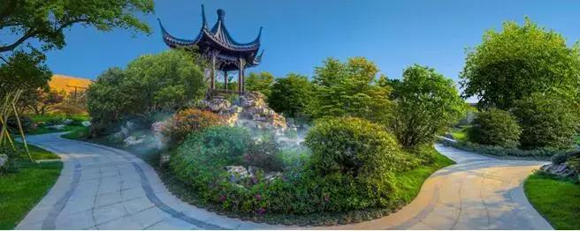 网红神盘最新消息,网红神盘