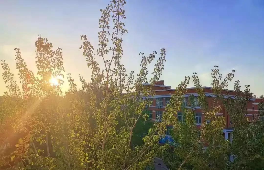 北京科技大学天津学院原独立学院,北京科技大学天津学院独立学院